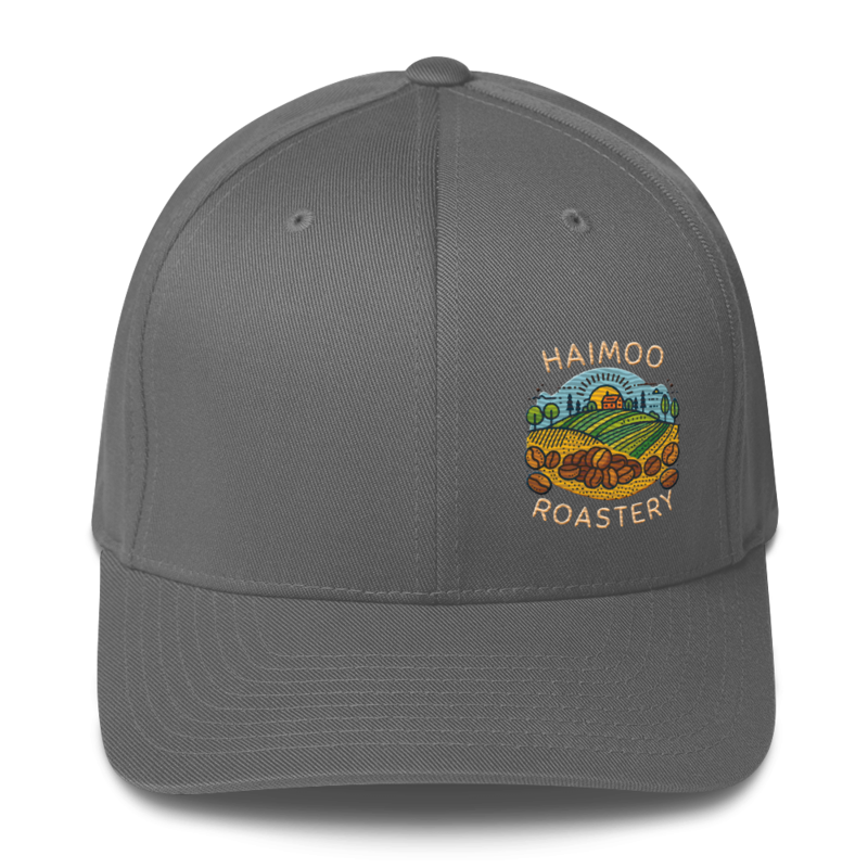 Haimoo Dialed In cap