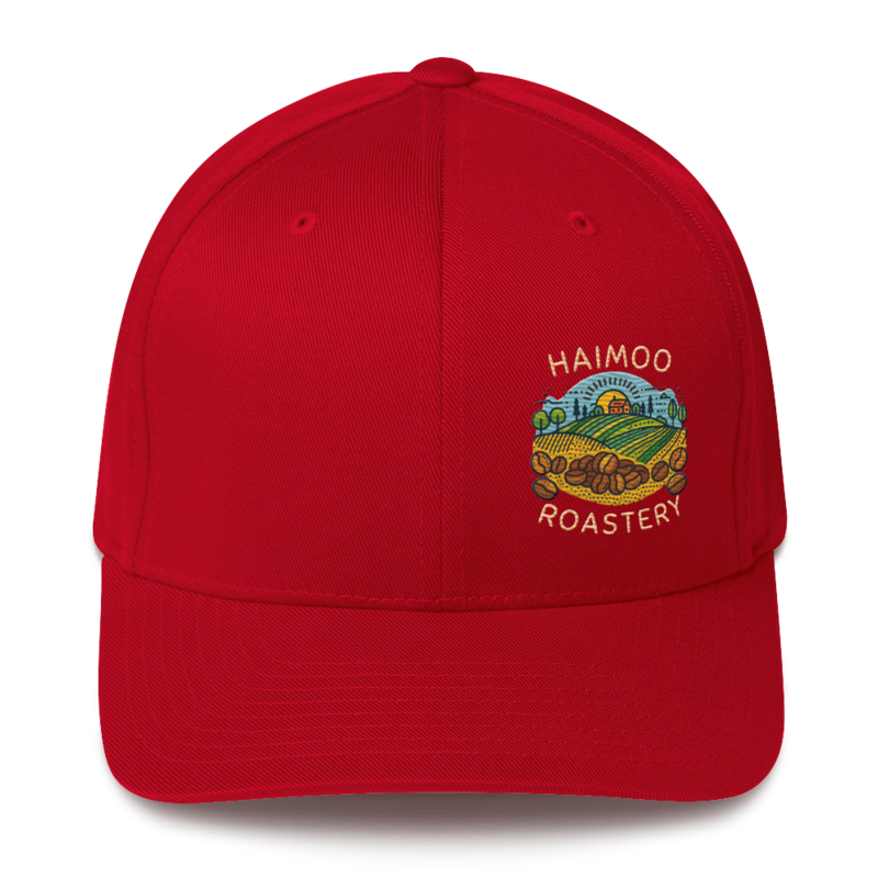 Haimoo Dialed In cap