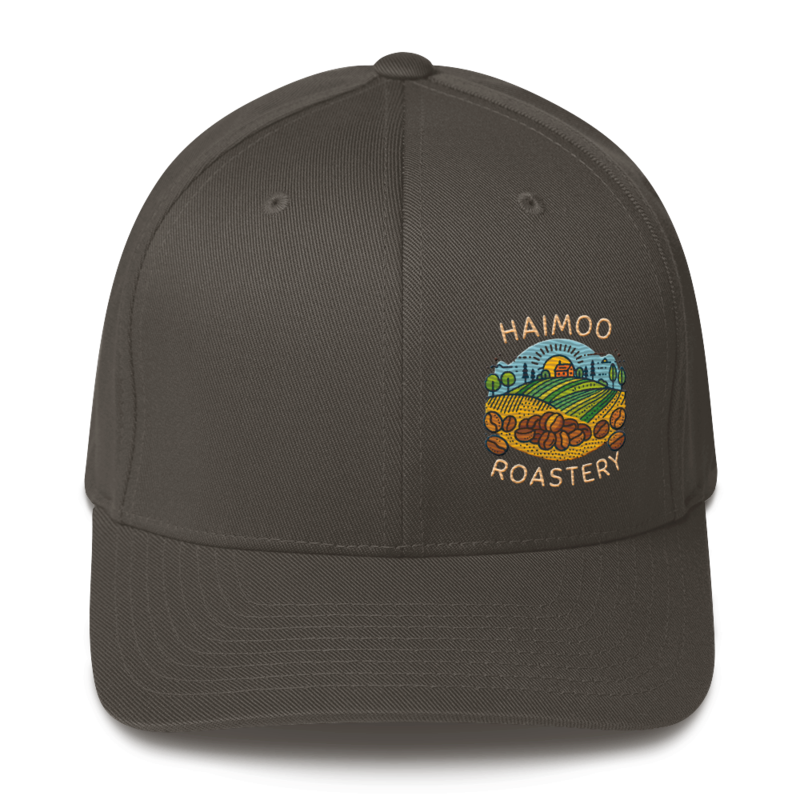 Haimoo Dialed In cap