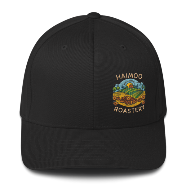 Haimoo Dialed In cap