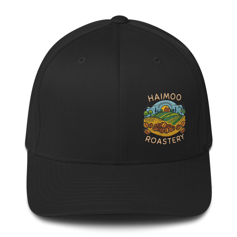 Haimoo Dialed In cap