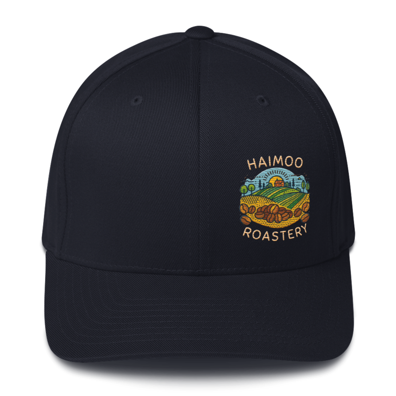 Haimoo Dialed In cap