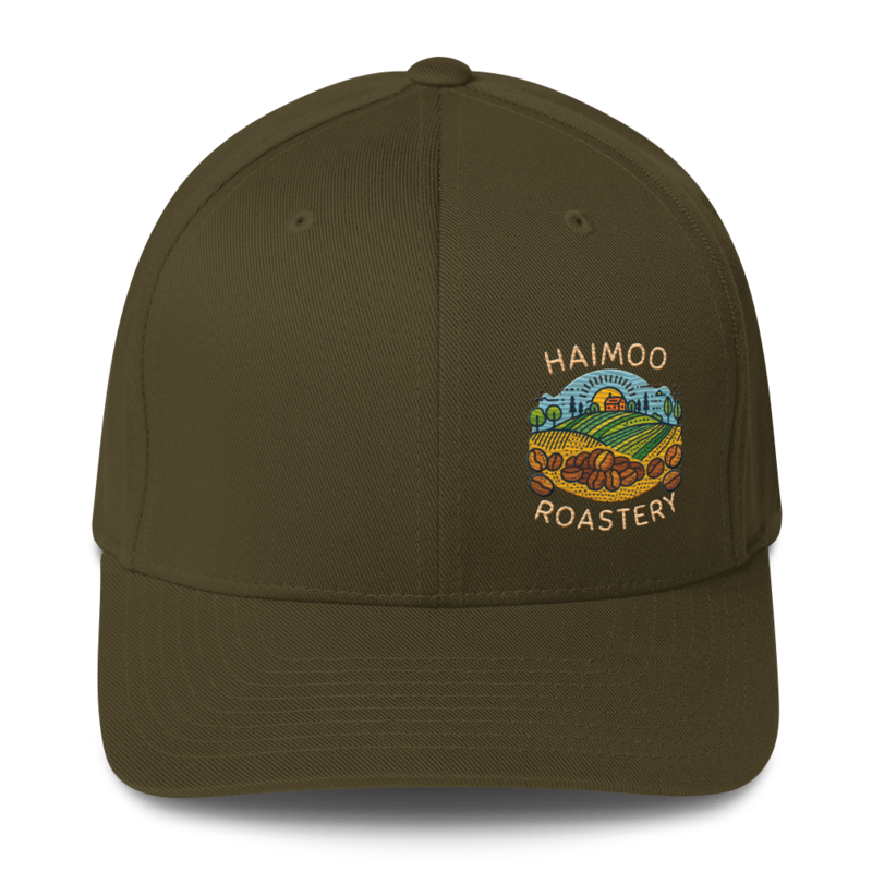 Haimoo Dialed In cap