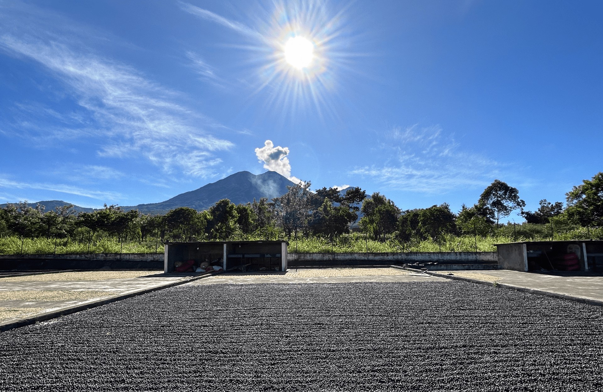 Torkplatserna på Finca La Pampa och den rykande vulkanen Fuego i Acatenango