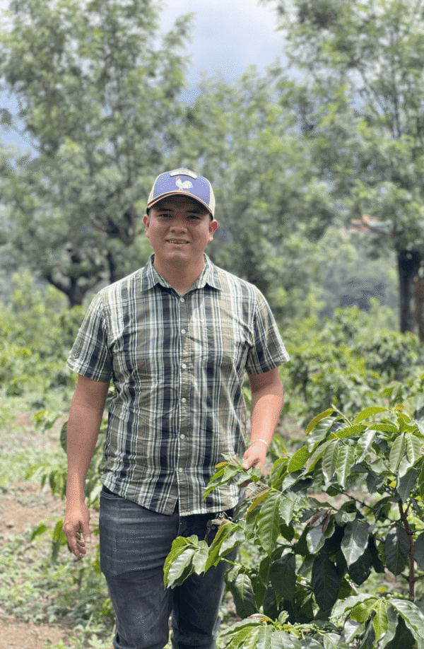 Francis Pérez bland kaffebuskarna på Finca La Pampa i Acatenango