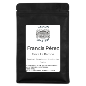 Guatemala La Pampa Typica 72h ASD Natural