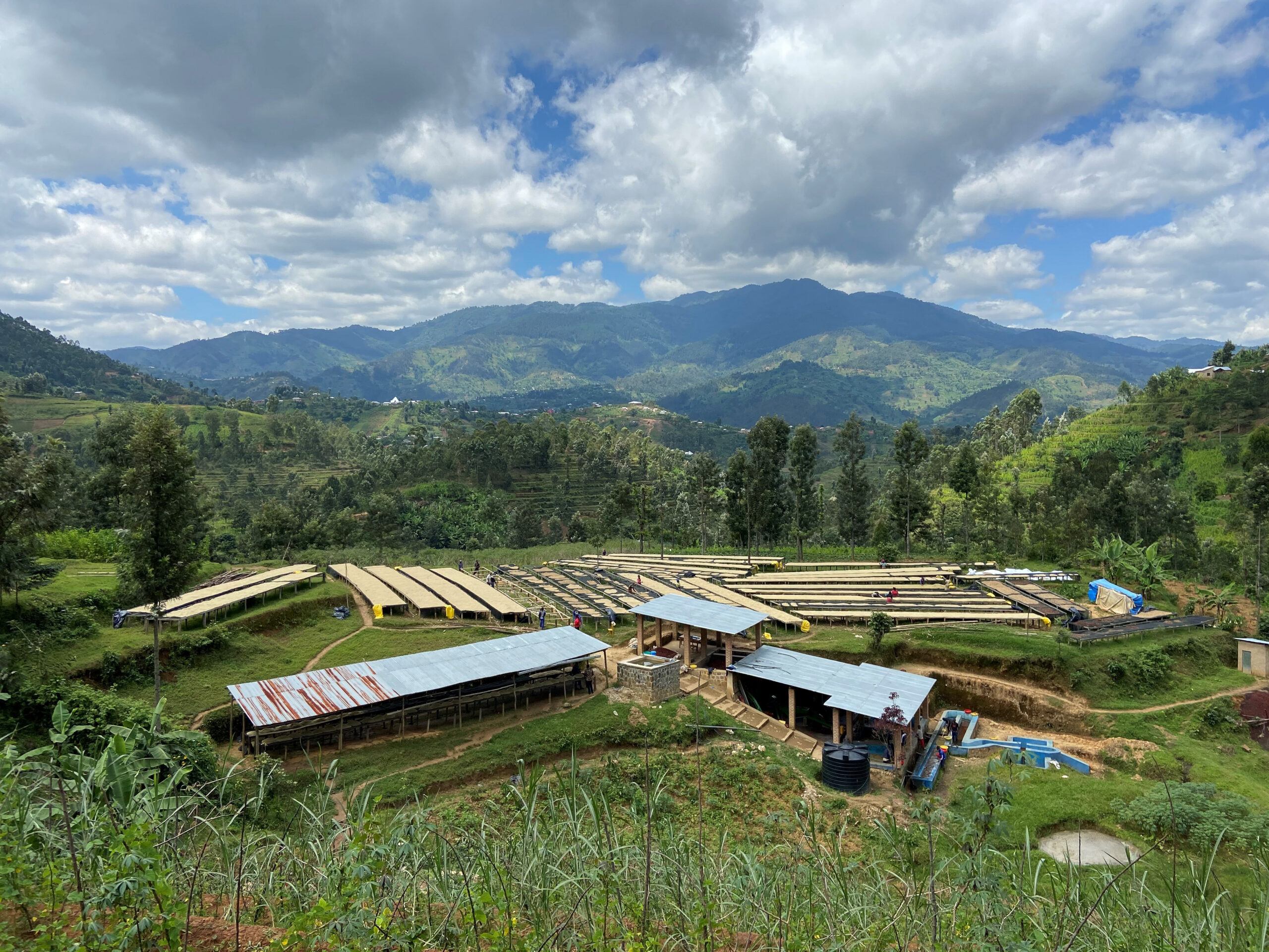 Cyato washing station The Cyato washing station and drying beds among the mountains in Nyamasheke, Rwanda